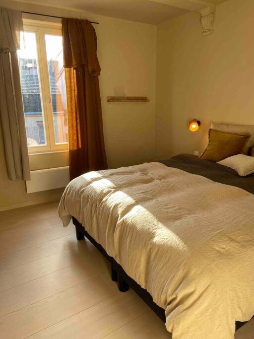 Suites Du Trefle Colmar Exterior foto